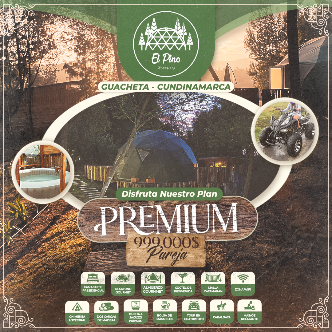 Premium Plus